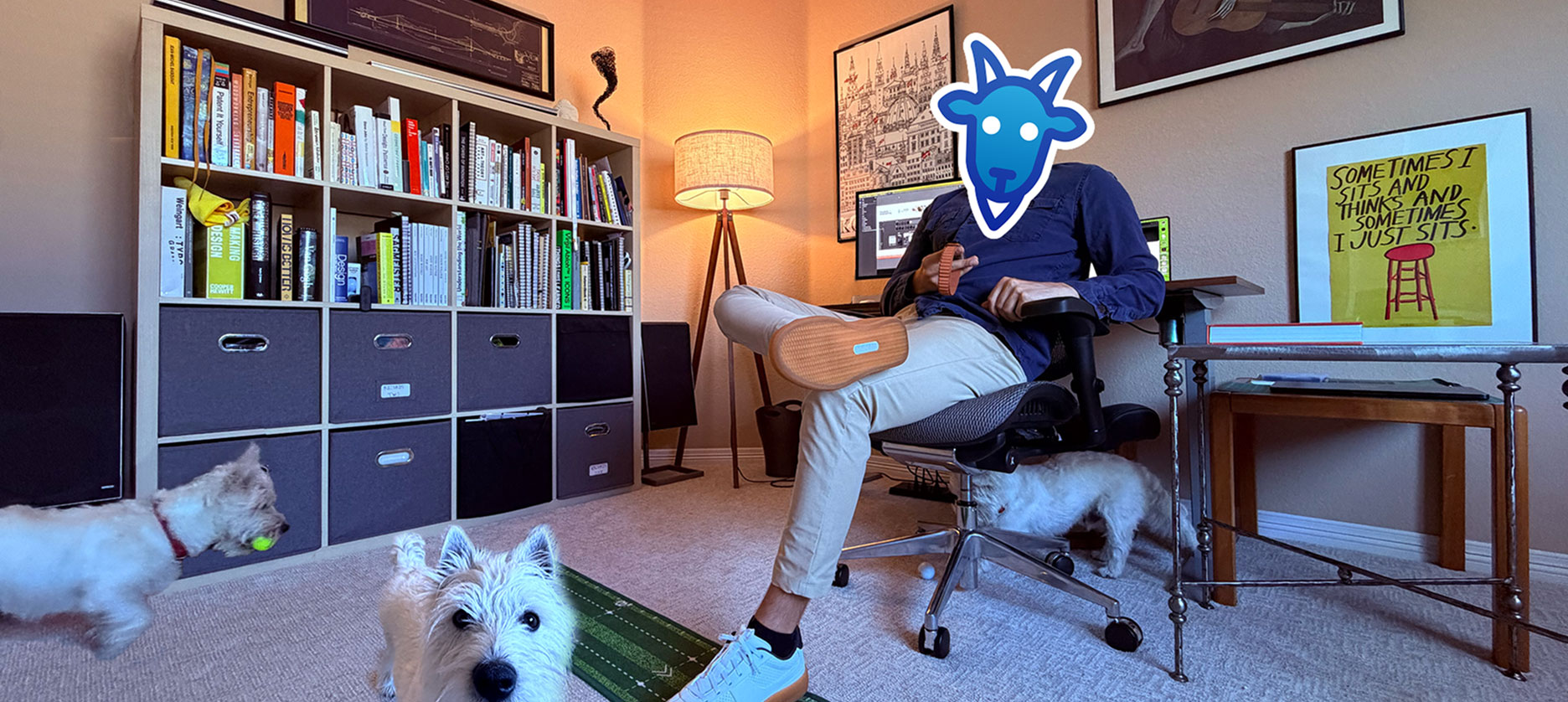 KO³ working at his desk with his dogs